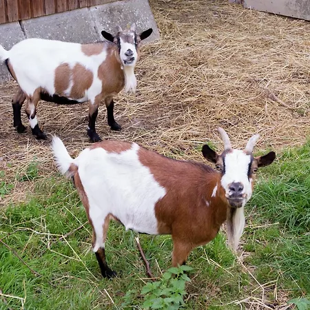 Dom wakacyjny With Hot Tub *